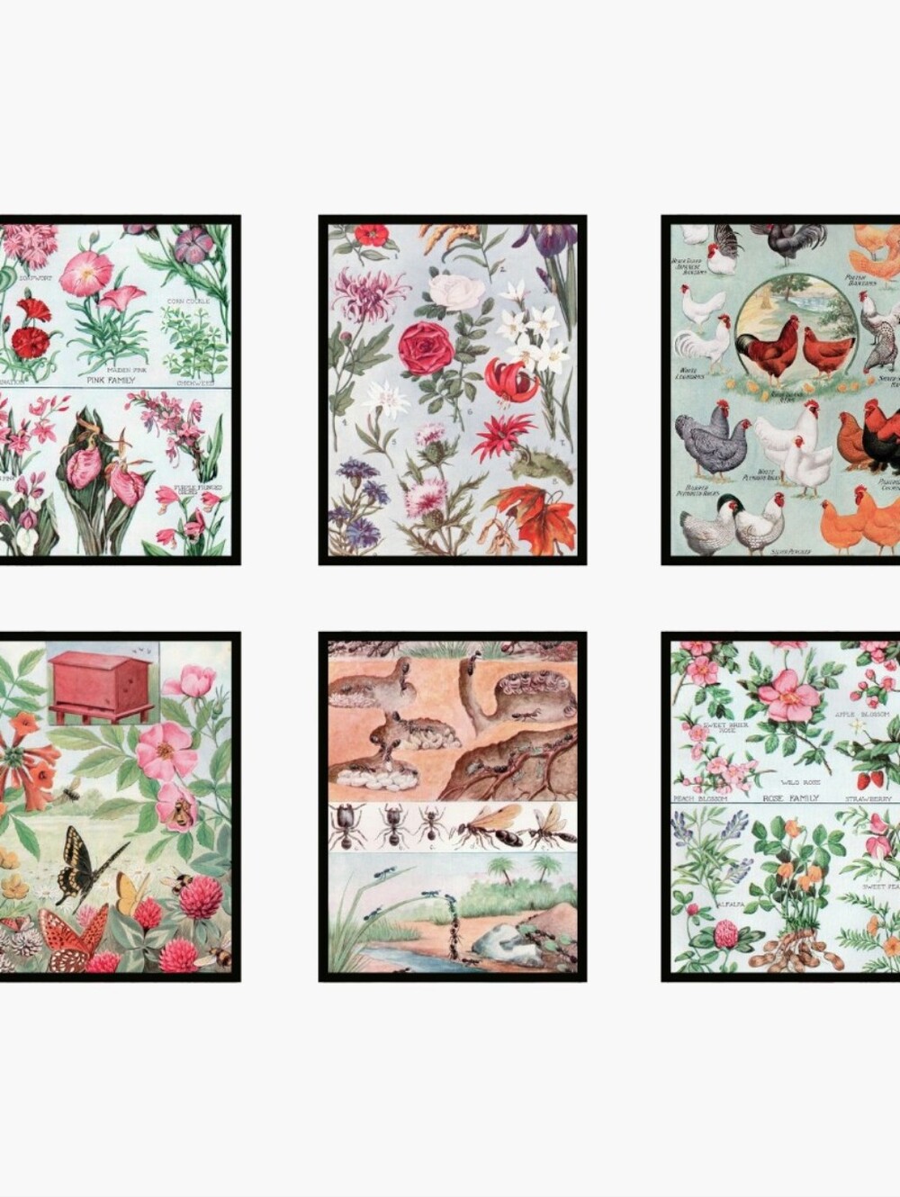 Floral and Nature Wall Art Set - Mint Green and Pink 8.5x11